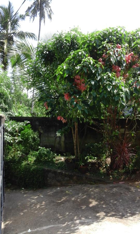 Coco One Holiday Inn Mirissa Extérieur photo